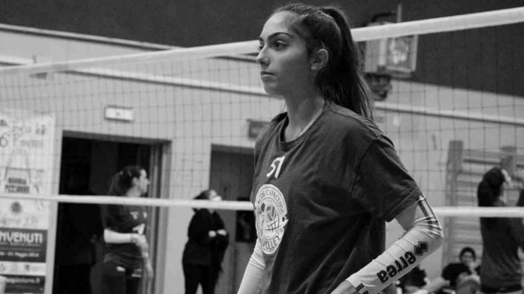 与者告诉警, alt 与者告诉警, alt