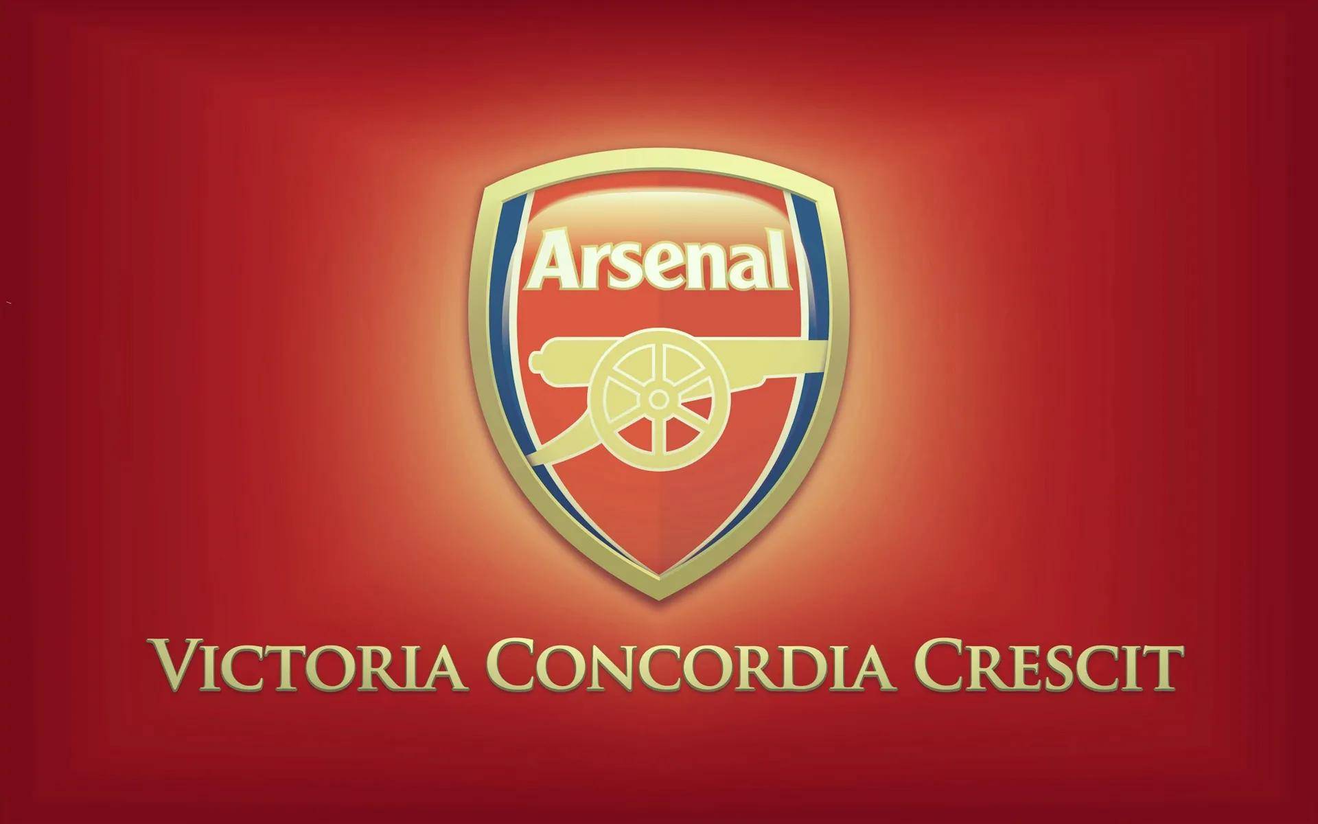 加盟费内巴, 最新消息 加盟费内巴, 最新消息