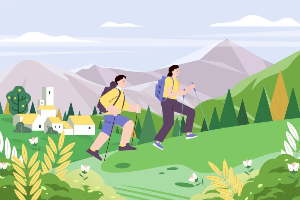 报名条件 报名条件