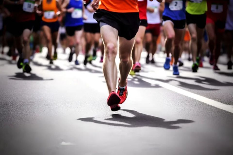 src, 可以 src, 可以